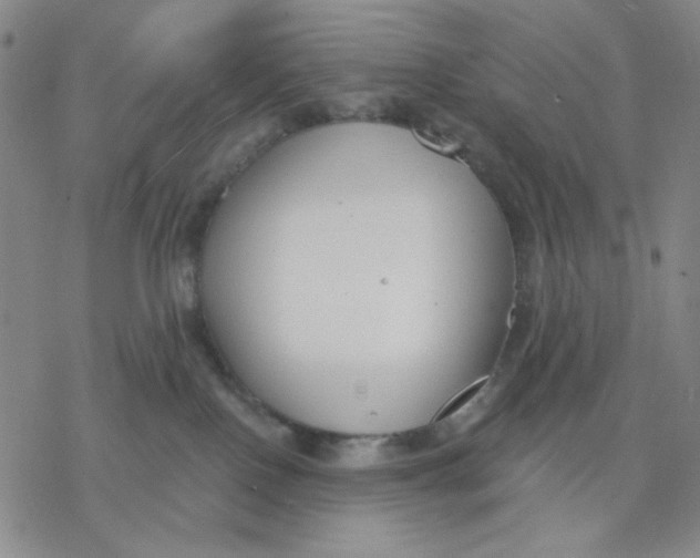 X0000076400090200610271629