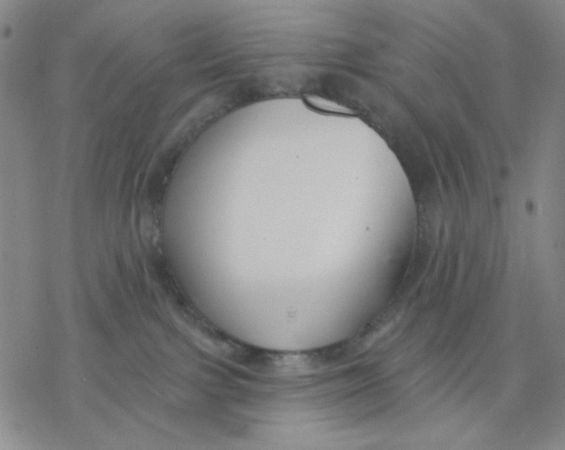 X0000076400091200610271629