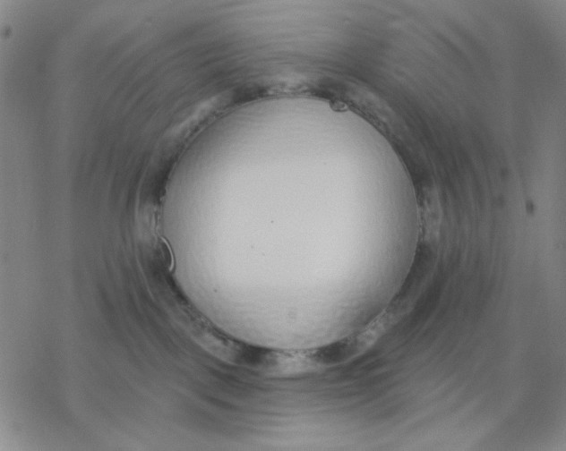 X0000076400093200610271629