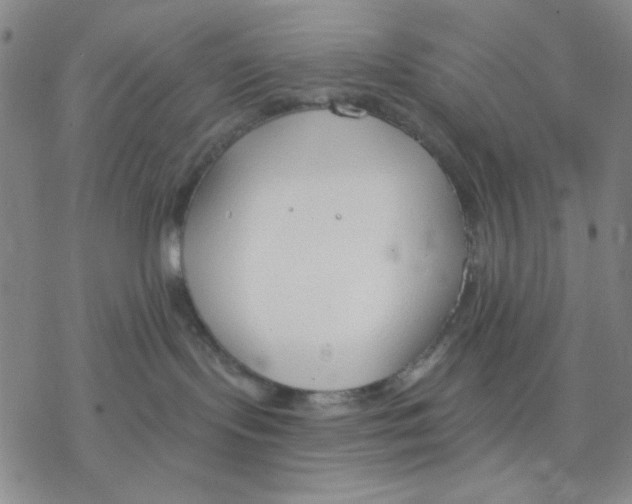 X0000076400095200610271629