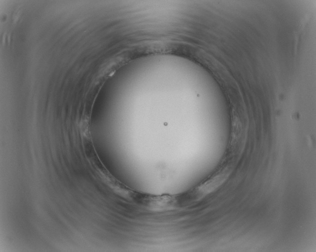 X0000076400096200610271629