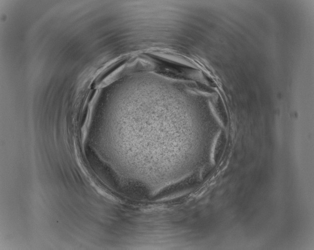 X0000076400097200610271628