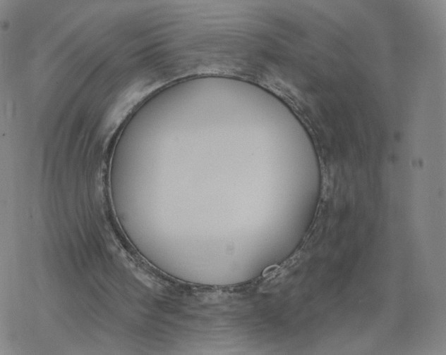 X0000076400098200610271628