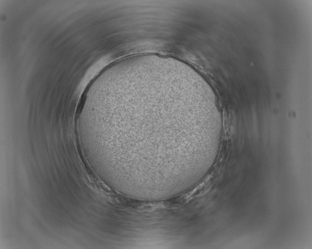 X0000076400099200610271628