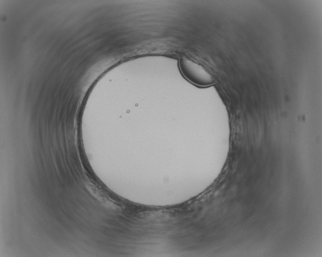 X0000076400100200610271628