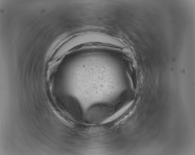 X0000076400101200610271628