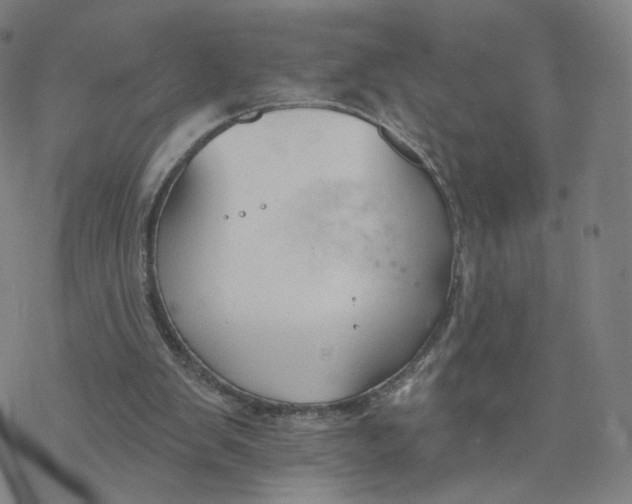 X0000076400103200610271628