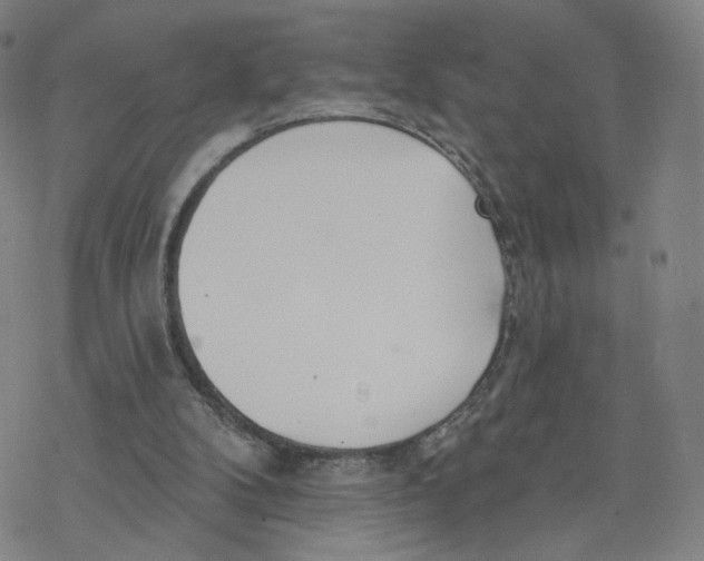 X0000076400104200610271628