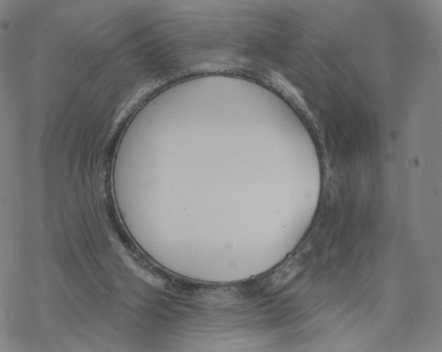 X0000076400106200610271628