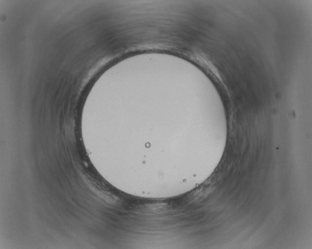 X0000076400108200610271628