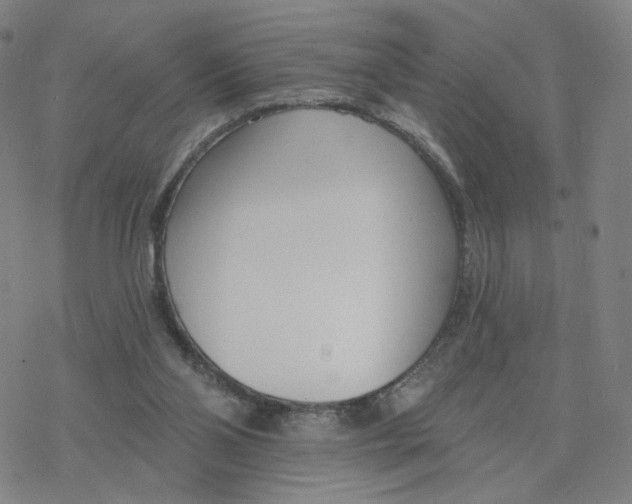 X0000076400110200610271628