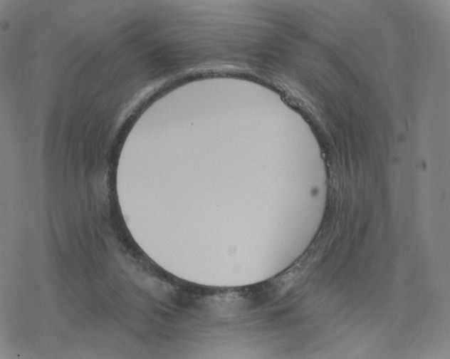 X0000076400112200610271628