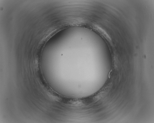 X0000076400113200610271628