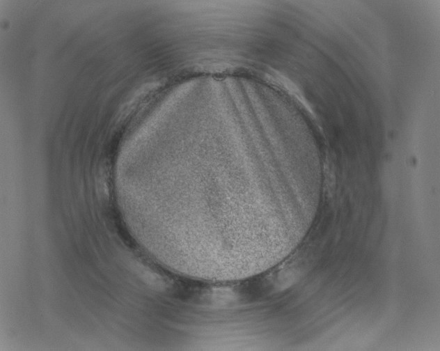 X0000076400114200610271628