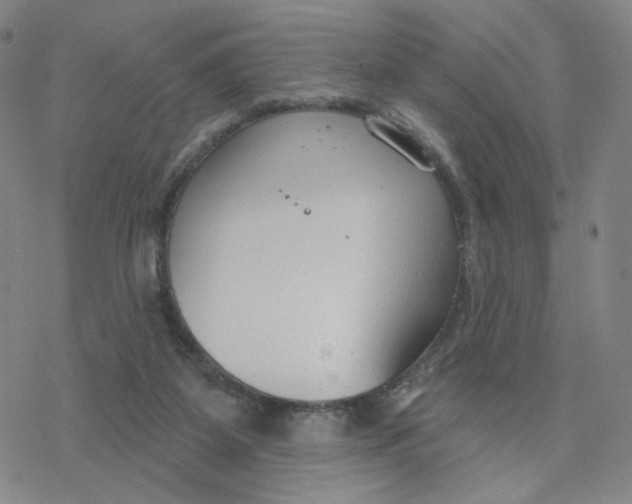 X0000076400115200610271628