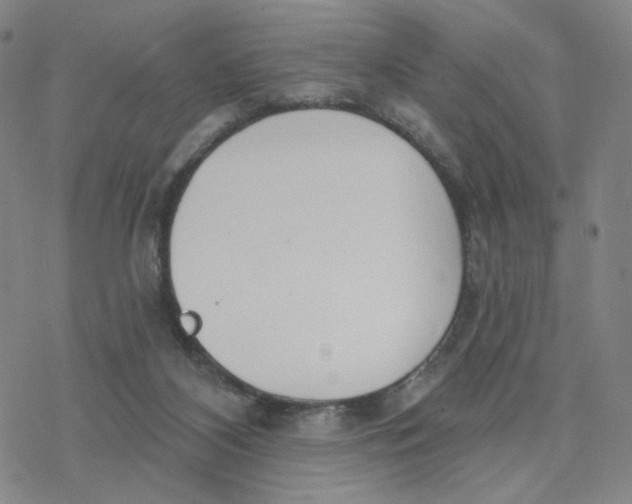 X0000076400116200610271628