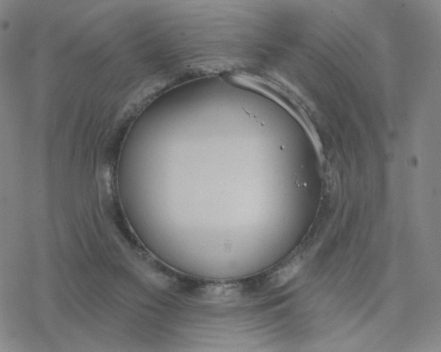 X0000076400117200610271628