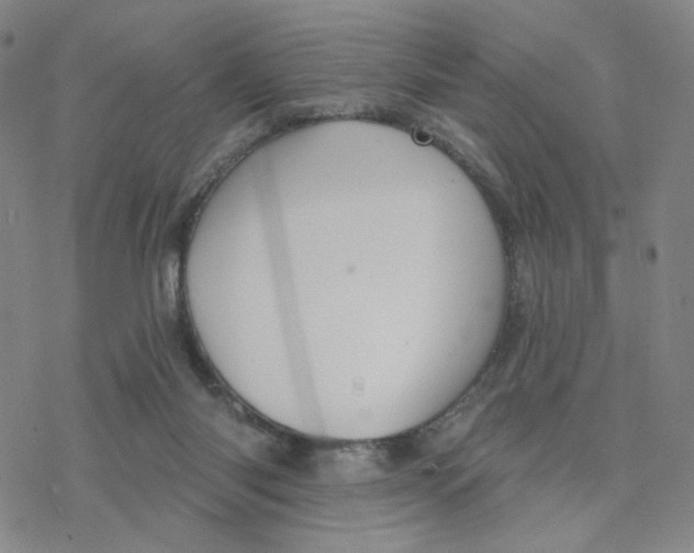 X0000076400118200610271628