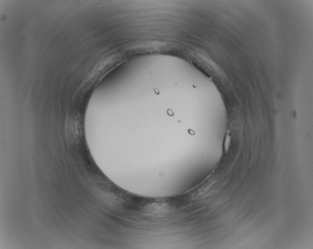 X0000076400119200610271628