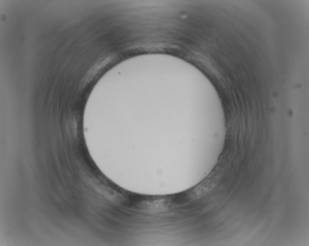 X0000076400120200610271628