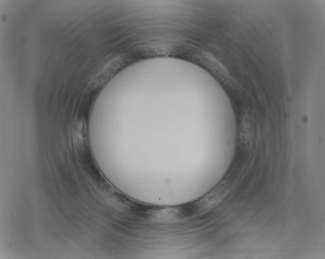 X0000076400122200610271628