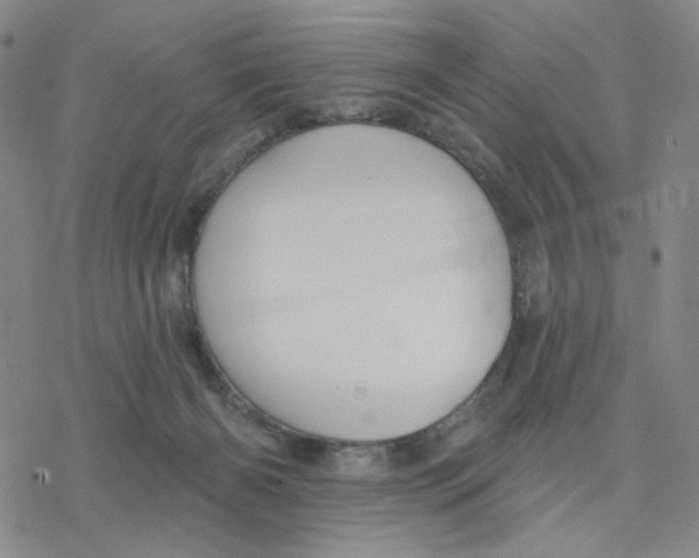 X0000076400126200610271628