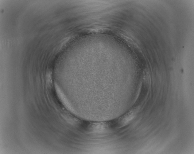 X0000076400127200610271628