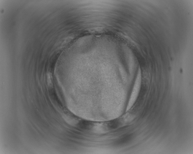 X0000076400130200610271627