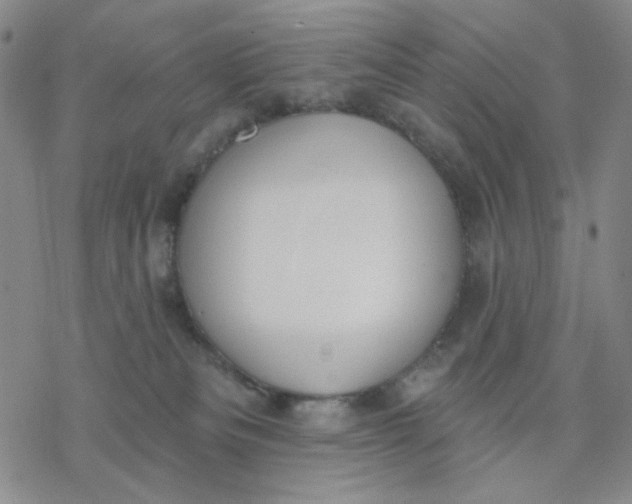 X0000076400133200610271627