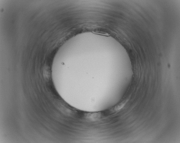 X0000076400135200610271627