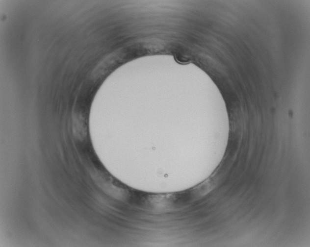 X0000076400136200610271627