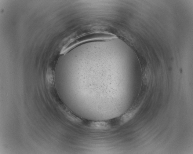 X0000076400137200610271627