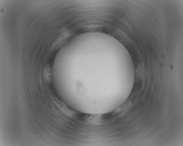 X0000076400138200610271627