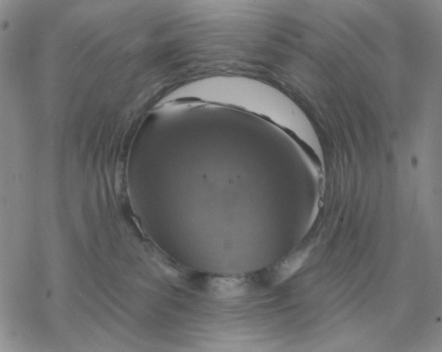 X0000076400139200610271627