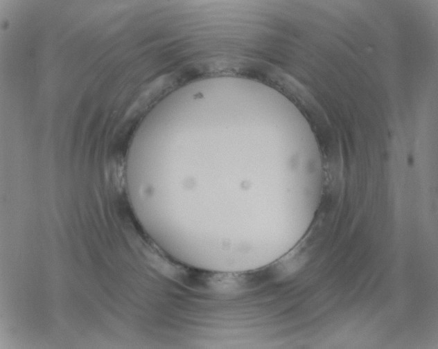 X0000076400142200610271627