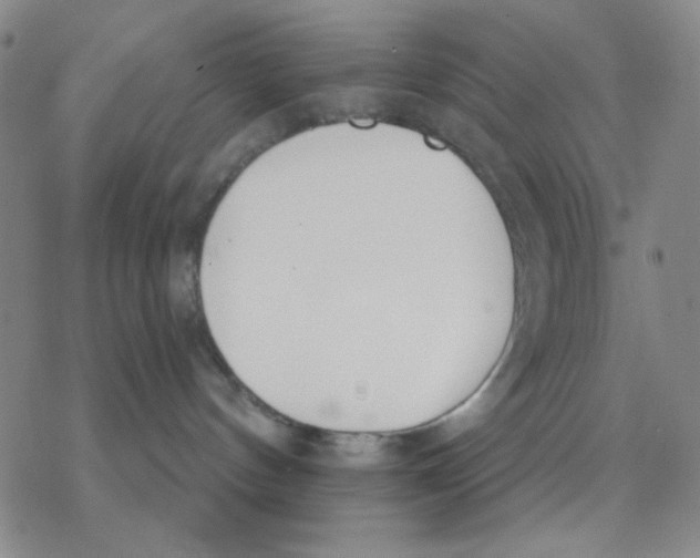 X0000076400144200610271627