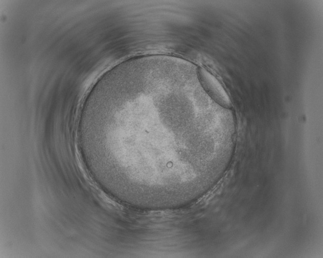 X0000076400145200610271626