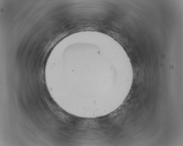 X0000076400146200610271627