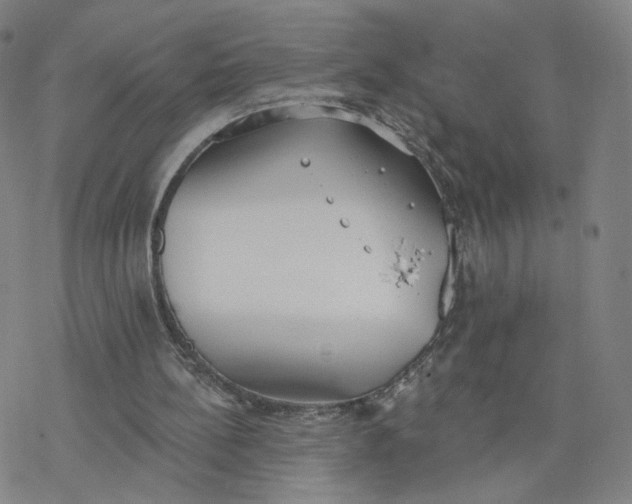 X0000076400148200610271627