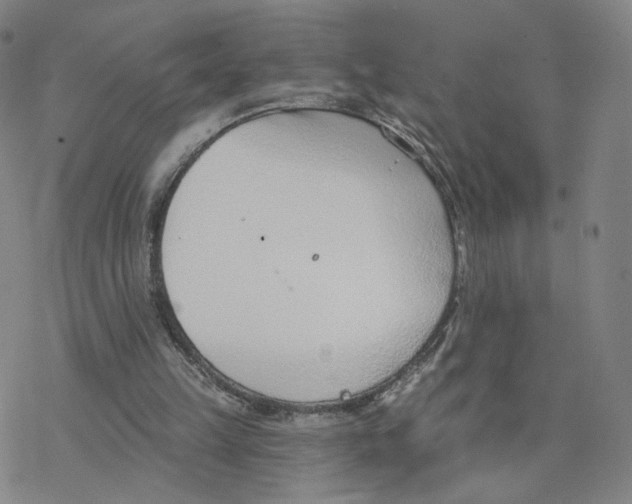 X0000076400149200610271627