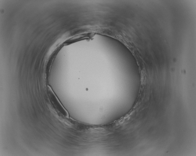 X0000076400150200610271627