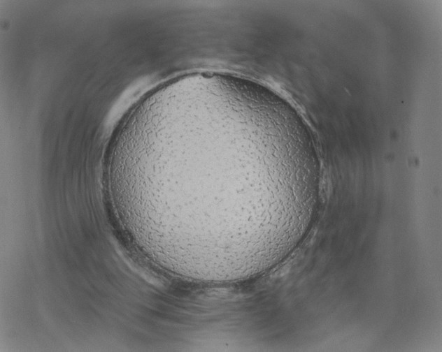 X0000076400151200610271627