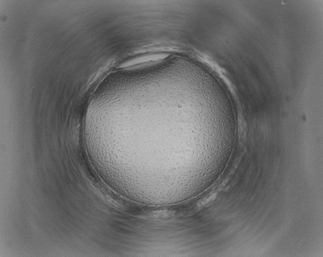 X0000076400153200610271627