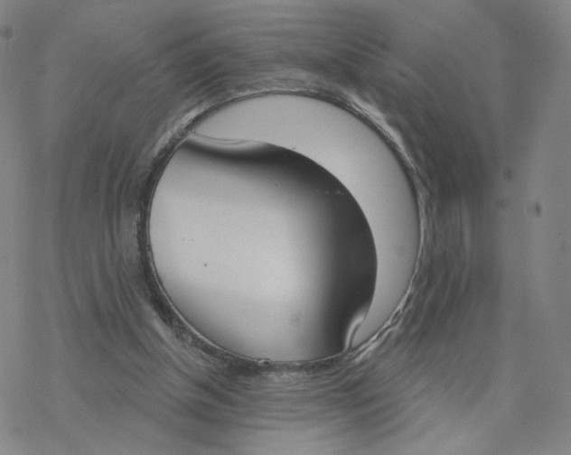 X0000076400154200610271627