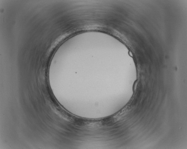 X0000076400155200610271627