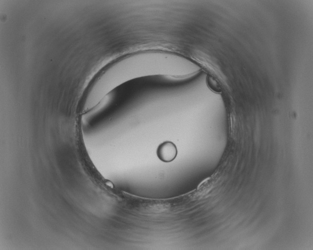 X0000076400156200610271627