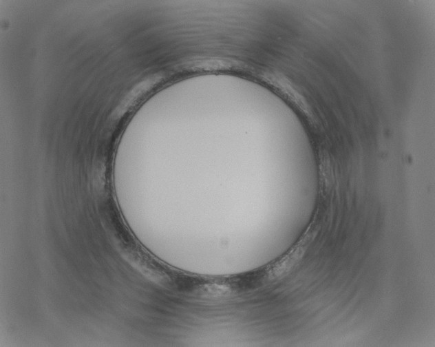 X0000076400159200610271627