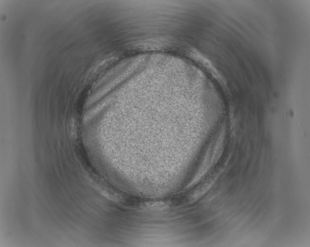 X0000076400161200610271627