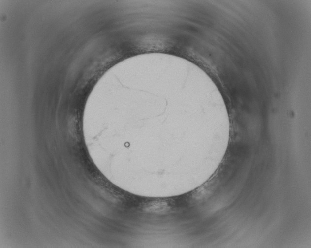 X0000076400162200610271627