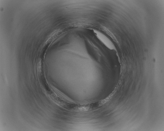 X0000076400163200610271627